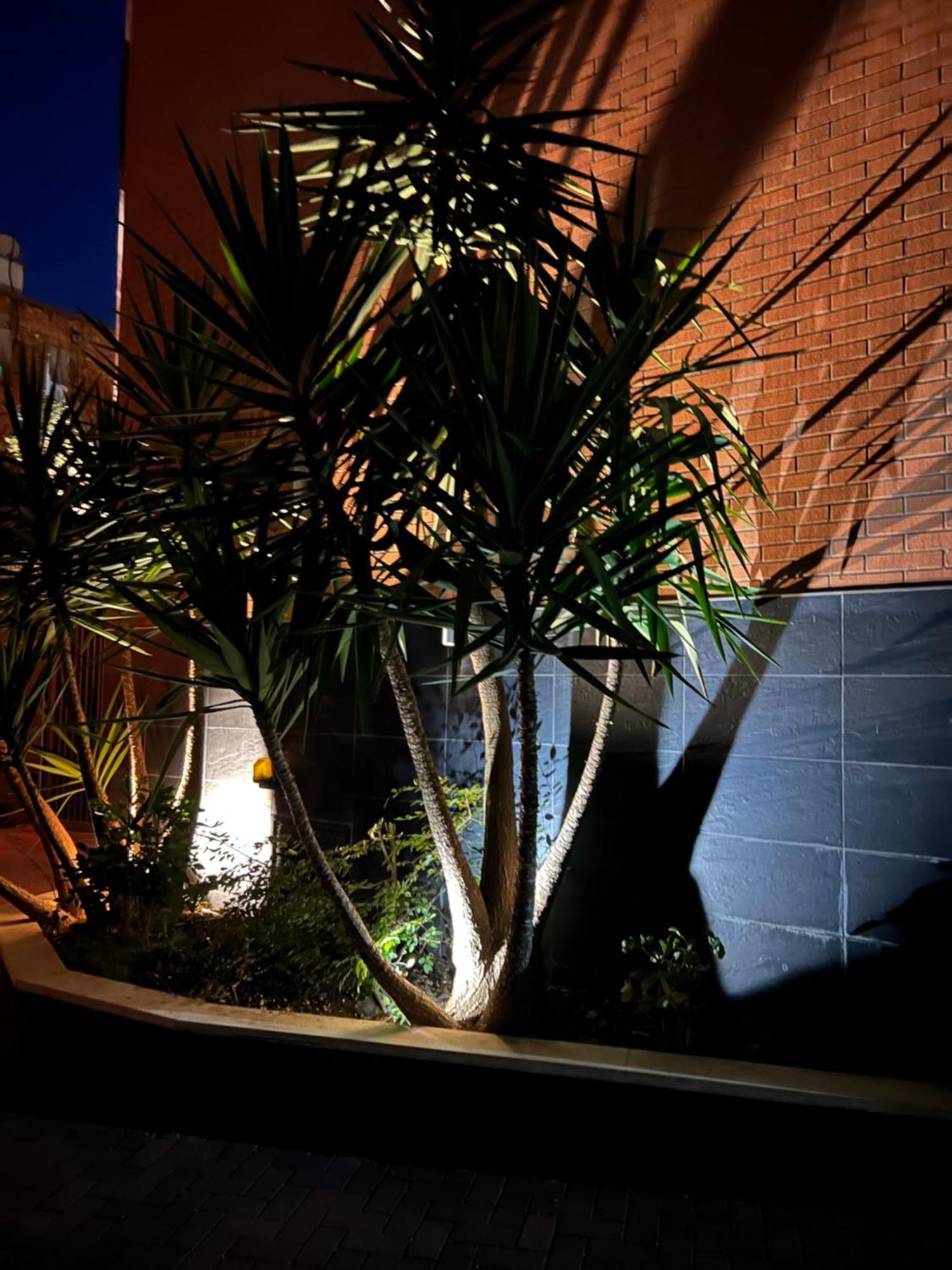 Nemis Apartments In The Centre Of Tirana Four Free Parking エクステリア 写真
