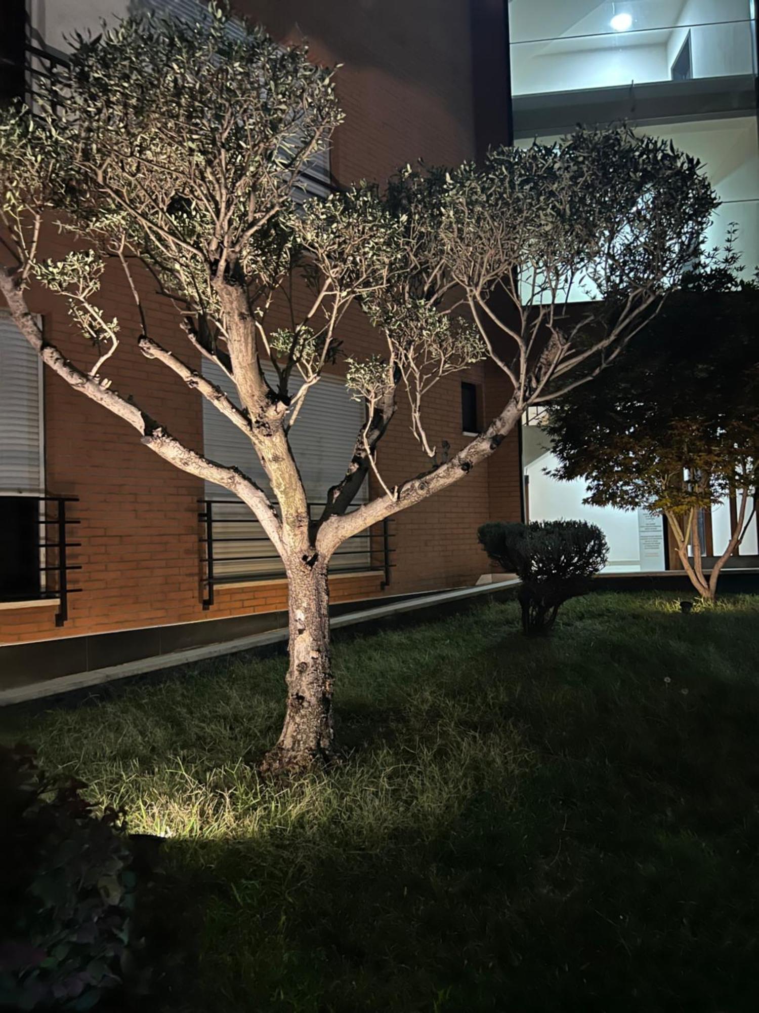 Nemis Apartments In The Centre Of Tirana Four Free Parking エクステリア 写真